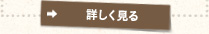詳しく見る